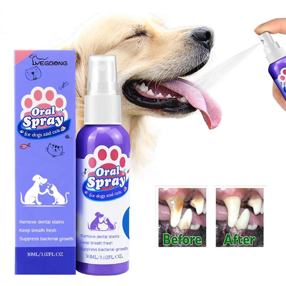 애완동물 구강 청결 스프레이 입냄새 제거 미백 치석 예 - Whitening Mouthwash 리뷰 및 가격