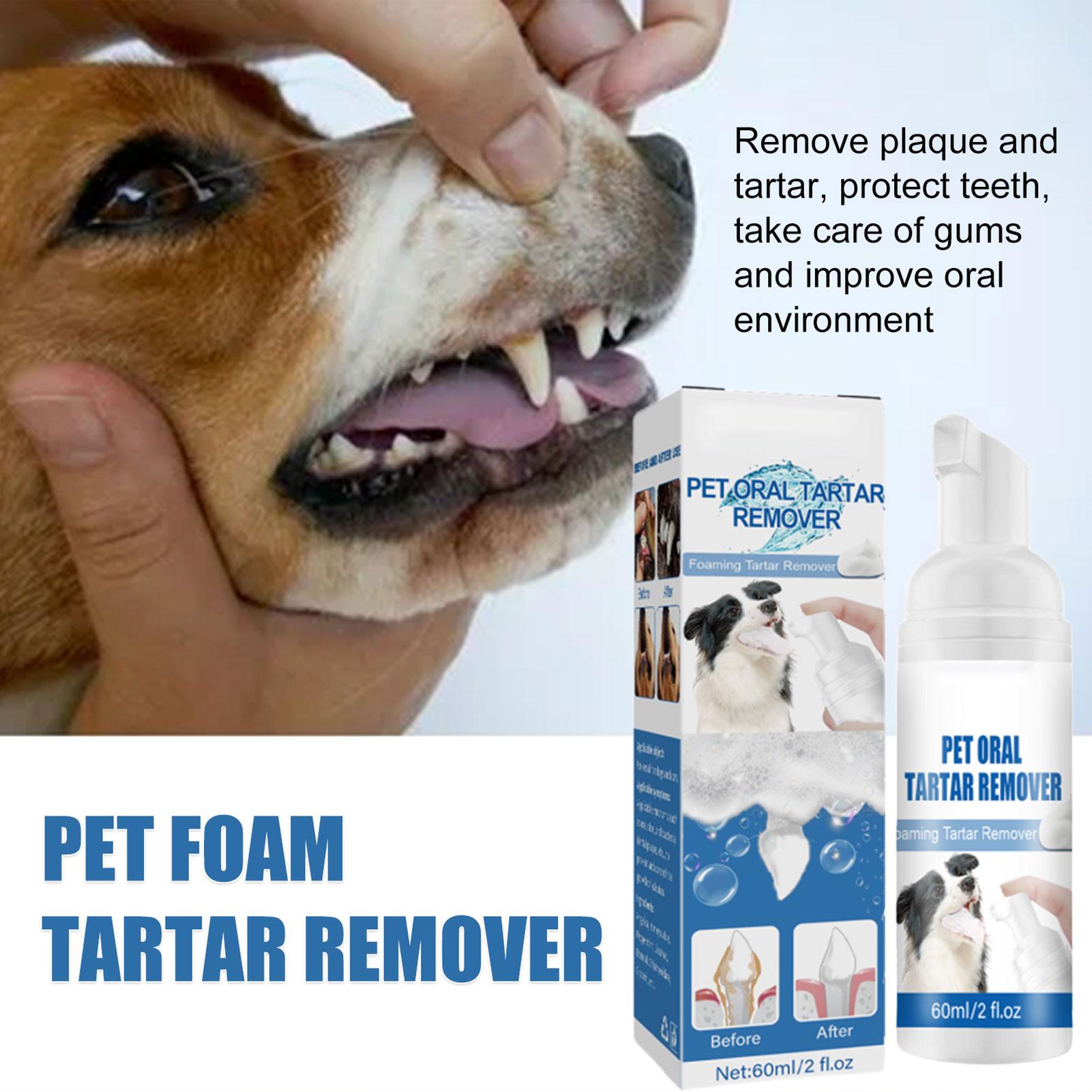 새로운 60ml 애완동물 구강케어 폼 순한 치아 세정  - Teeth Whitening Foam Toothpaste 리뷰 및 가격